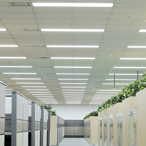 현대적 조명의 결정판