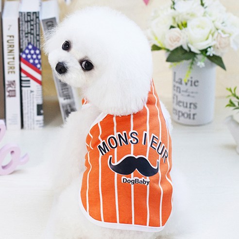 강아지 고양이 몬시채플린 티셔츠, 오렌지