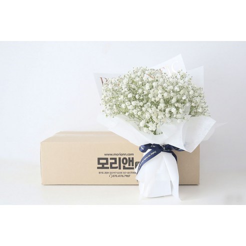 순수함과 우아함을 담은 모리앤 생화 안개 꽃다발