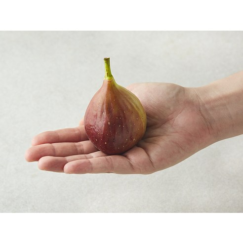 굿데이 영암 무화과로 매일 아침을 달콤하게 시작하세요