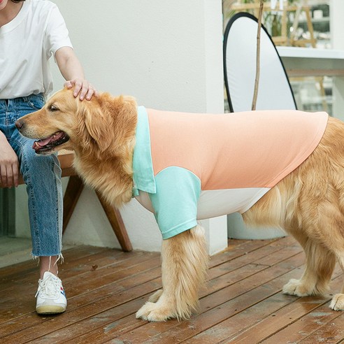 파스텔펫 강아지 대형견 배색 티셔츠, 오렌지