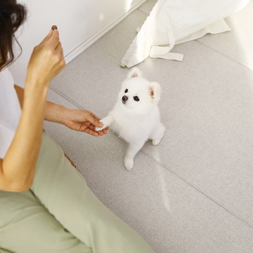 LIFANG 반려동물 미끄럼방지 매트: 안전, 위생, 편안함, 그리고 행복한 동행을 위한 최고의 선택!