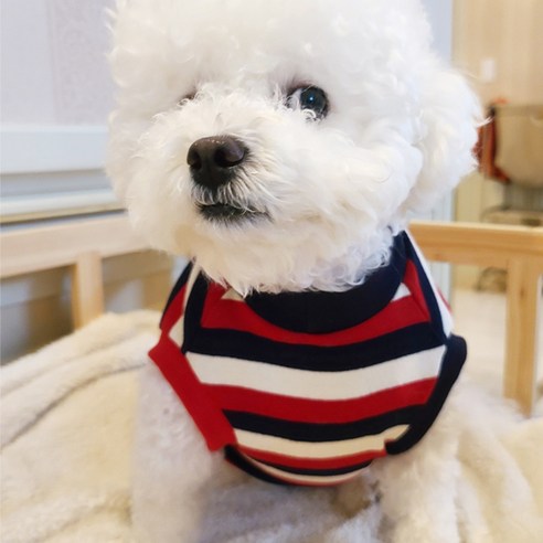 도그맘 반려동물 단가라 민소매 티셔츠, 레드ST