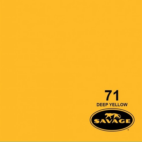 세비지 종이 롤 배경지 HALF, 71-1253(71 Deep Yellow), 1개