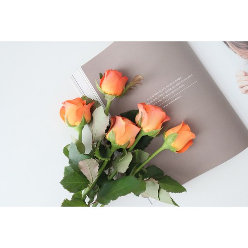 활기찬 코랄 오렌지 장미 생화단으로 공간에 밝음과 생동감을 더하세요.