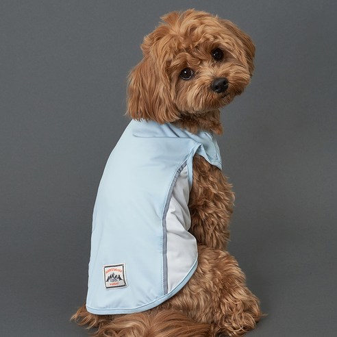 올여름, 도그아이 쿨링 아이스쿨티로 반려견에게 시원하고 안전한 여름을 선물하세요!