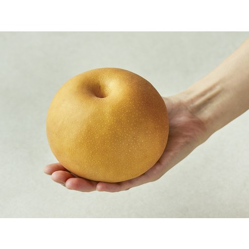 풍요로운 가을, 달콤한 행복을 선물하세요.