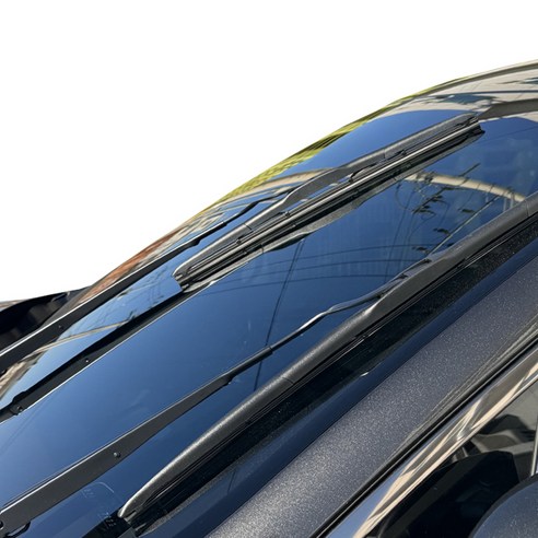 완벽한 시야를 위한 최고의 선택