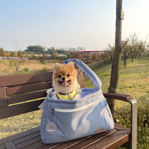 레드퍼피 반려동물 카소 쿠션포함 이동 슬링백, 블루 스카이, 1개