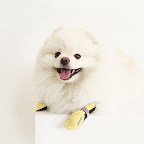 펫인뷰티 반려동물 구리항균 포우랩 신발 2개, Yellow