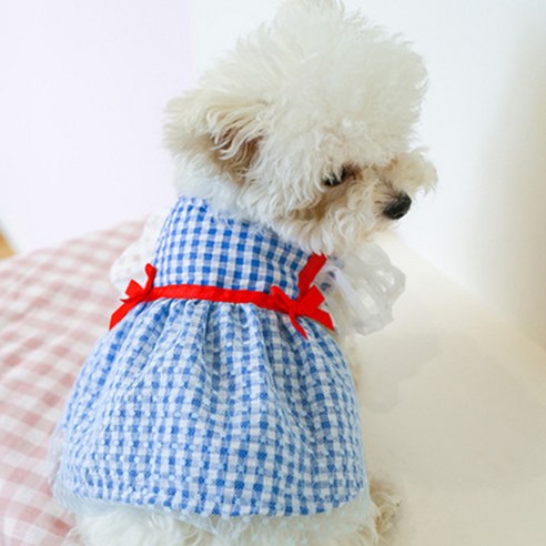 伴侶  寵物用品  小狗  貓  聯合使用  服裝  狗  狗  狗  狗