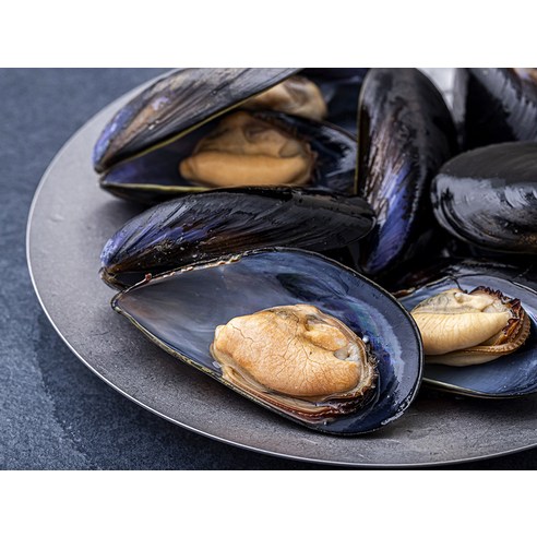 싱싱한 바다자리 생물 홍합으로 식탁을 풍요롭고 건강하게!