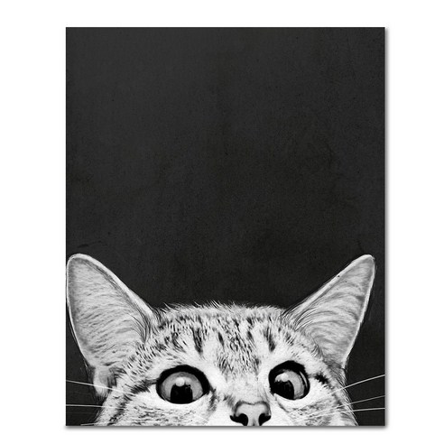 아디코 DIY 페인팅 일러스트 명화그리기 40 x 50 cm, 숨바꼭질 블랙캣(PEE37), 1개