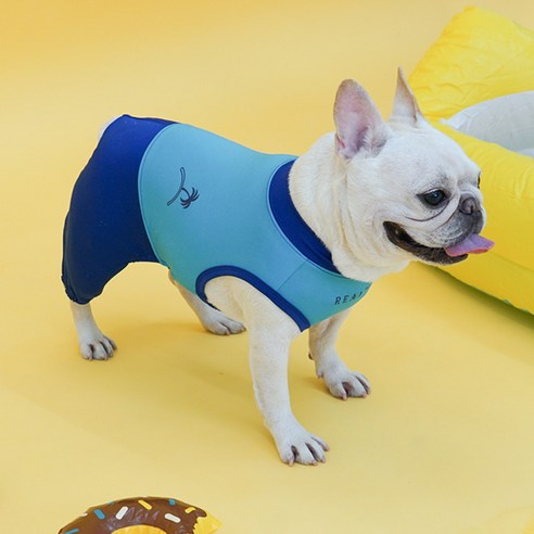 RealPet 강아지 올인원 래쉬가드 수영복, 컬러팝(블루), 1개