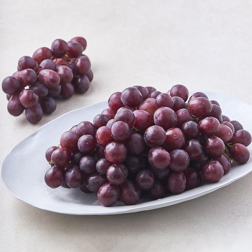 수플린 칠레산 적포도 잭살룻, 1개, 1.5kg