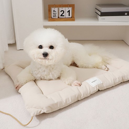 딩동펫 반려동물 베이직 사각쿠션 고정끈 방석, 베이지, 1개