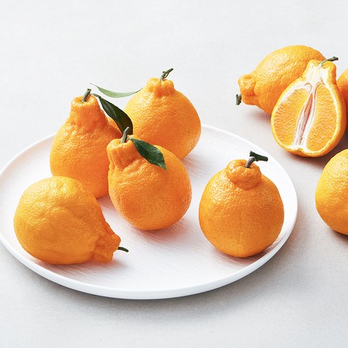 블랙홀 당도선별 한라봉