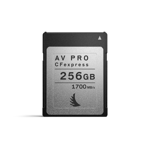 엔젤버드 AV PRO CFexpress 메모리카드 Type B, 256GB