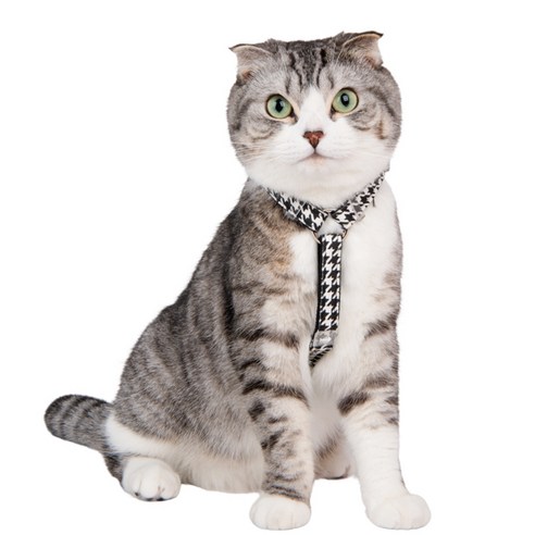 캐츠피아 고양이 마우저 사이즈 조절 하네스 H형 HH9516, 블랙