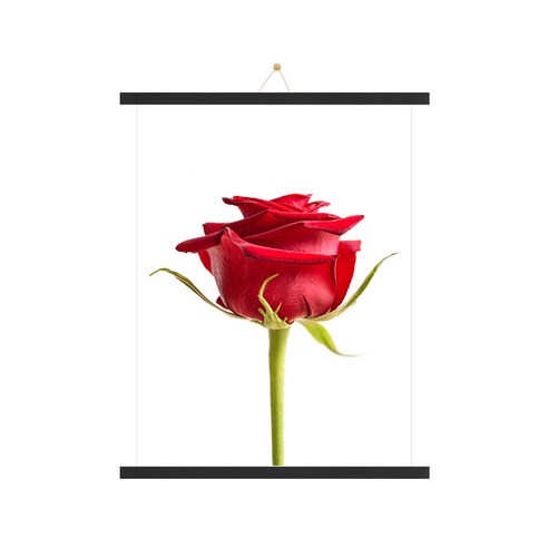 인테리어 장미F 포스터 + 족자 + 끈 랜덤발송, 블랙우드