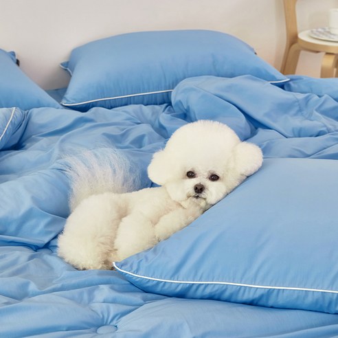 숙박  반려동물과 함께 디어펫 알러지케어 차렵이불