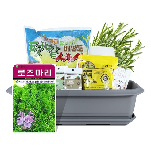 바이오필리아 채소 텃밭세트 + 식물 이름표 랜덤발송, 로즈마리 허브