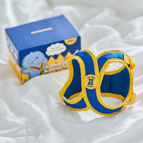 사랑하는 반려견과의 편안한 산책