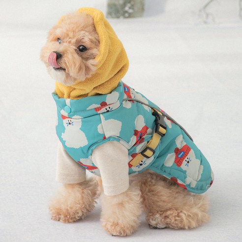 겨울 외출을 위한 완벽한 하네스