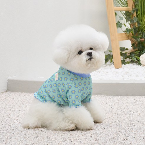 베니즈 강아지 코스모스 크롭 티셔츠, 민트