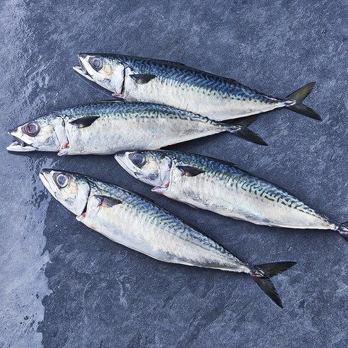 부산 간고등어 2손 해동 (냉장), 1개, 900g(대)