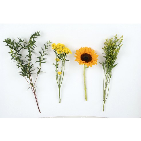 블뤼엔의 행복과 행운을 전하는 해바라기 꽃다발