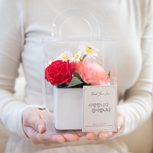 아스파시아 조화 플로리 카네이션 비누꽃 화분 + 케이스 + 메시지 카드 + 용돈 봉투 세트, 레드, 1세트