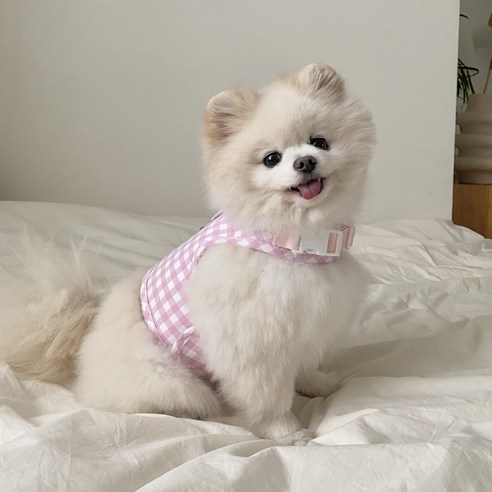 봉쥬르뚜뚜 강아지 아일렛체크 하네스 세트, 핑크, 1세트