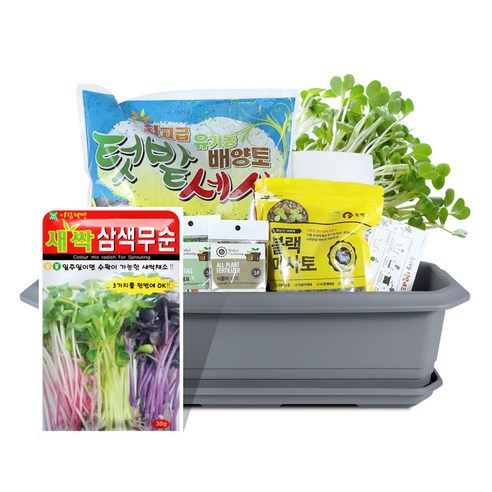 바이오필리아 채소 텃밭세트 + 식물 이름표 랜덤발송, 새싹 삼색 무순