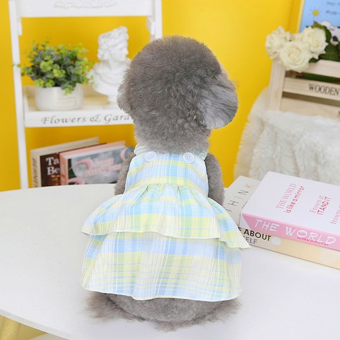伴侶  寵物用品  小狗  貓  聯合使用  服裝  狗  狗  狗  狗