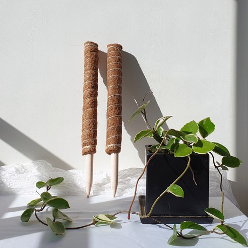 가정 원예 애호가를 위한 필수 식물지지대: 미화부장 연장형 식물지지대