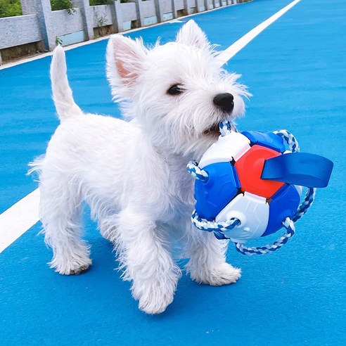 멍멍군나비양 강아지 프리스비 장난감 공, 블루 + 화이트, 1개