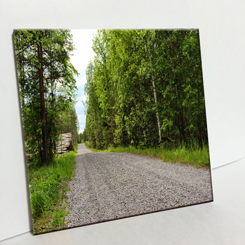 에이치티피 타일 사진 C2243 핀란드삼림지의도로