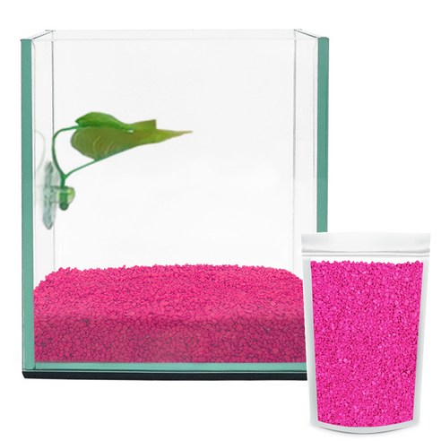 아쿠아테라 베타 유리어항 + 베타침대 + 컬러스톤 1kg CH-G150, 핑크색(컬러스톤), 1개