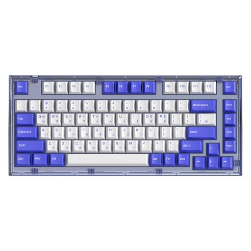 앱코 가스켓 마운트 유무선 블루투스 기계식 키보드 갈축 82key, 퍼플 블루, AG75W
