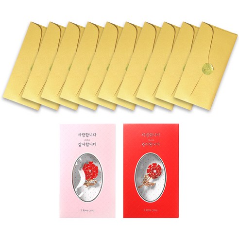 사랑감사 카네이션 브로치 2p + 럭셔리 펄 용돈봉투 10p 세트, 랜덤발송(브로치), 골드(용돈봉투), 1세트