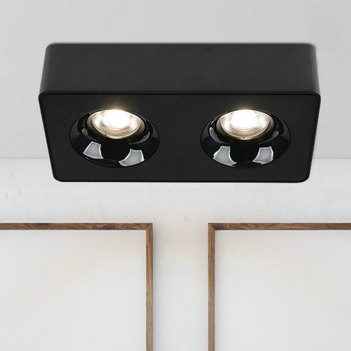 원하 인테리어 에코 모즈 2구 LED 직부등 주백색 플리커프리 COB 15W, 블랙
