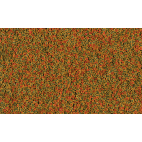 열대어의 활력을 되찾아주는 마법, 테트라 프로에너지 열대어 사료