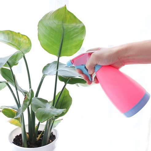 噴霧瓶 園藝 用品 澆水 設備 噴霧器 用於植物
