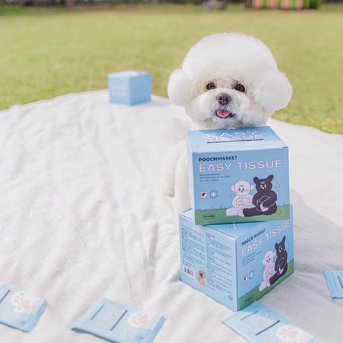 귀여운 반려동물을 위한 필수 아이템