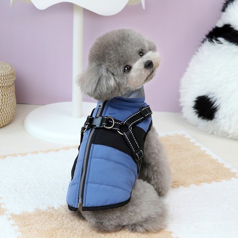 칠시 반려동물 가을 겨울 하네스 패딩형 방한 조끼, 블루, 1개