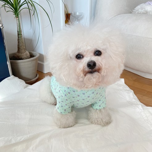 바이담수미 강아지 꽃내복 티셔츠, 민트