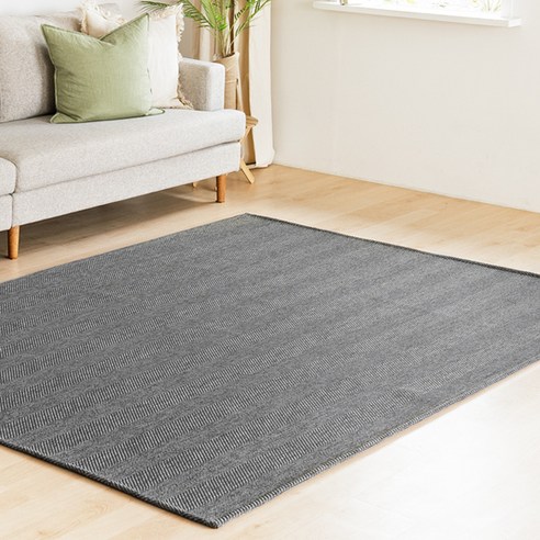 먼지 걱정 없는 편리한 워셔블 러그