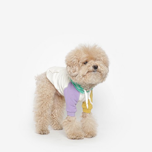 투스투스 강아지 컬러블럭 후드티, 혼합색상, 1개