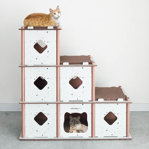 고양이를 위한 특별한 공간